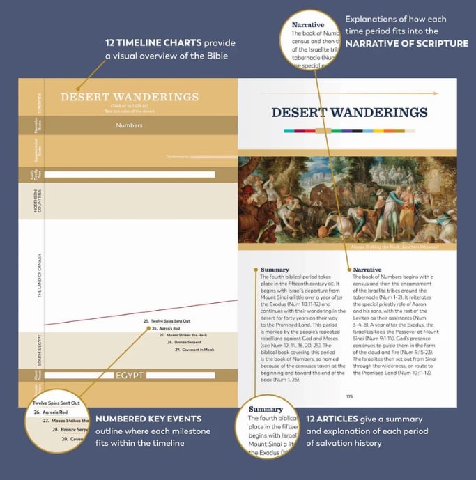 The Great Adventure Catholic Bible by Jeff Cavins | Rex Catholic Rex ...