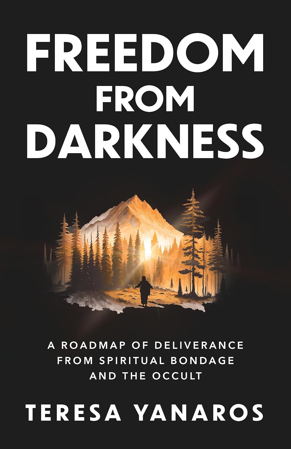 Freedom from Darkness: A Roadmap of Deliverance from Spiritual Bondage ...