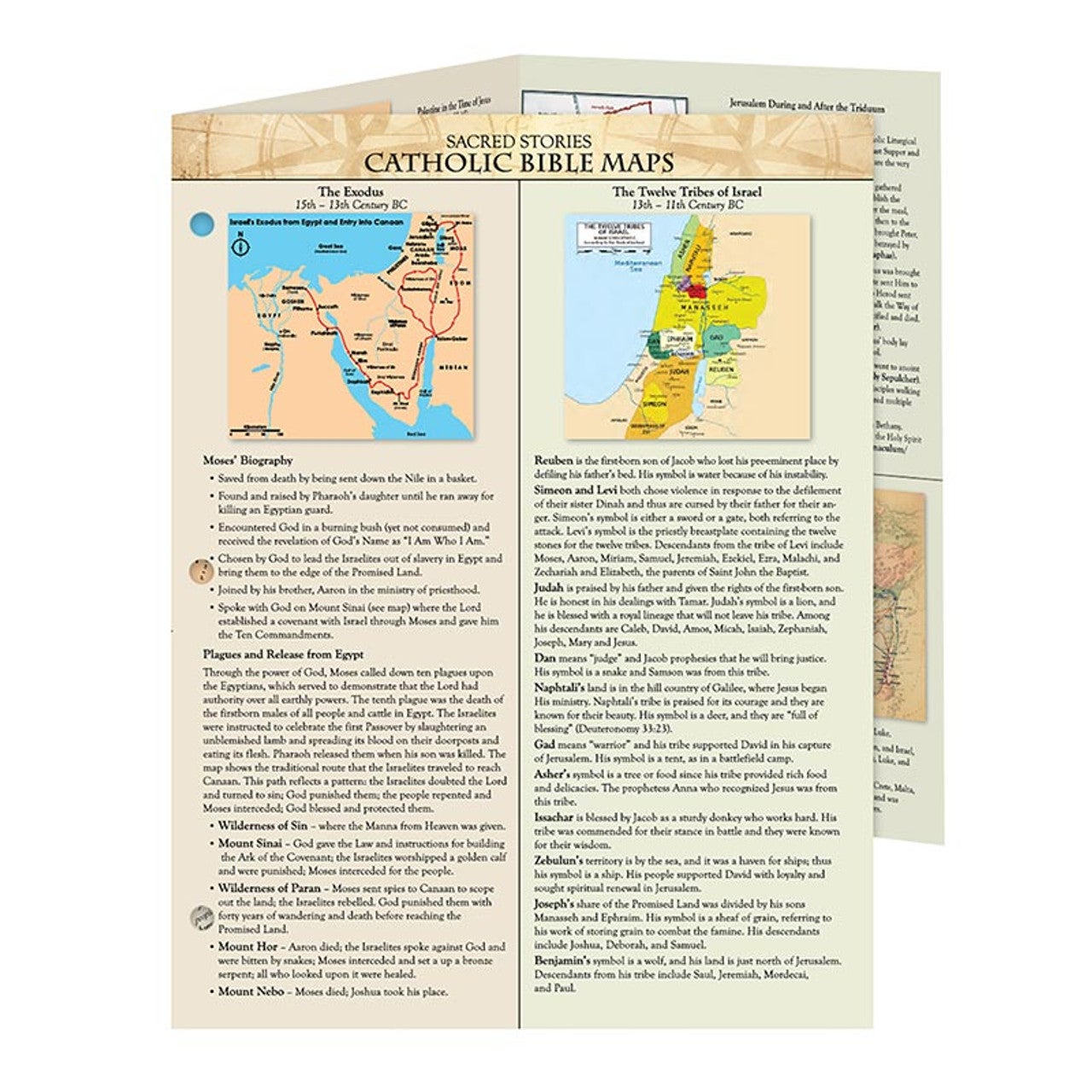 Sacred Stories Trifold Chart - Catholic Bible Maps | Rex Catholic Rex ...